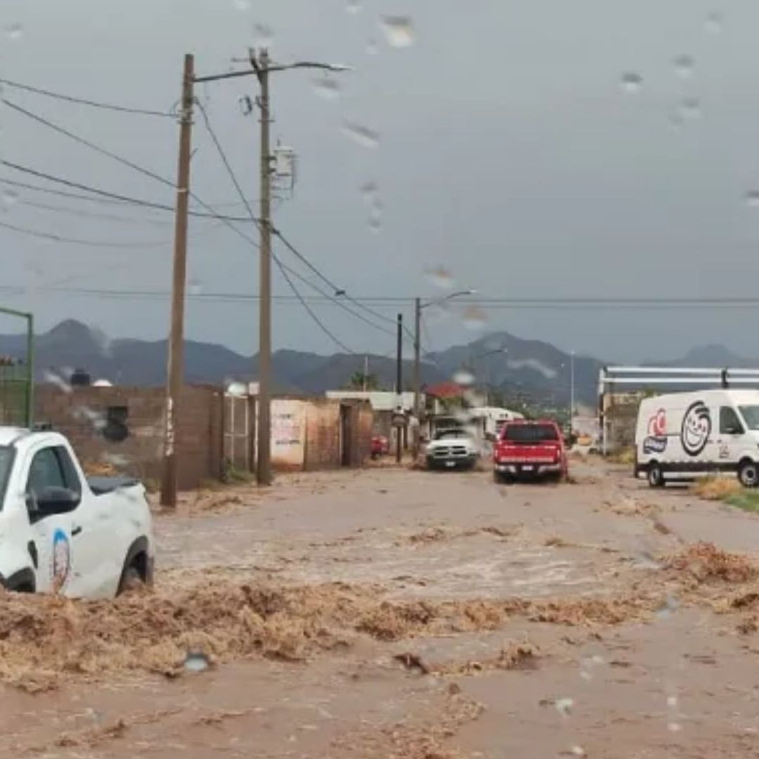 El municipio de Chihuahua concentró el mayor número de incidentes.